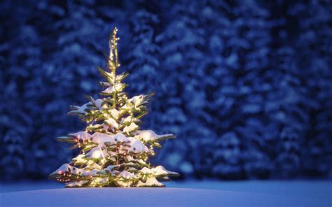christmas free images|40,000+ Free Christmas\ & Christmas Tree Images .